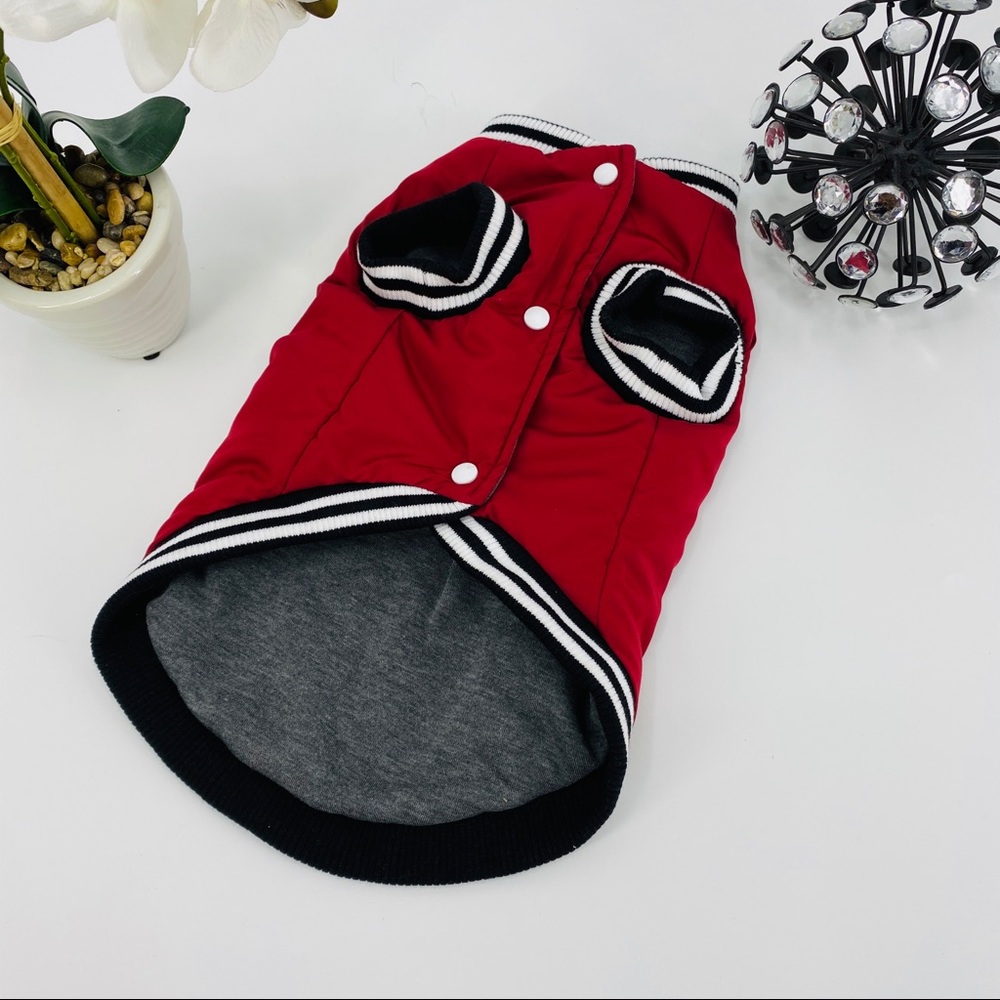 Dog Varsity Jacket - Picture 5 of 13